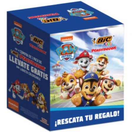 BIC300556