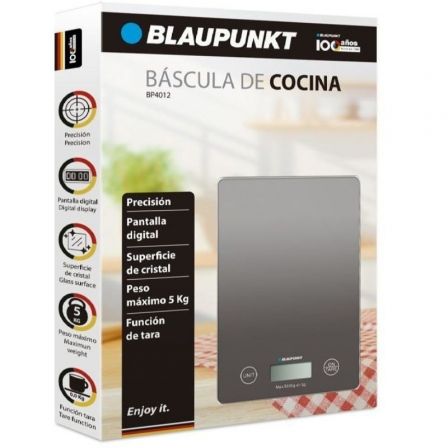 BLAUPUNKTBP4012