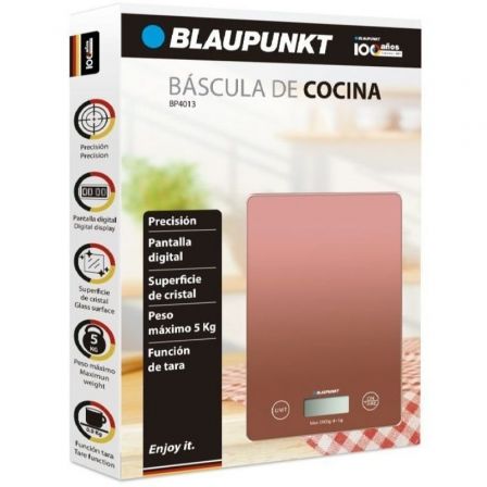 BLAUPUNKTBP4013