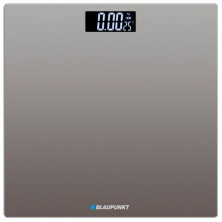 BLAUPUNKTBP5006