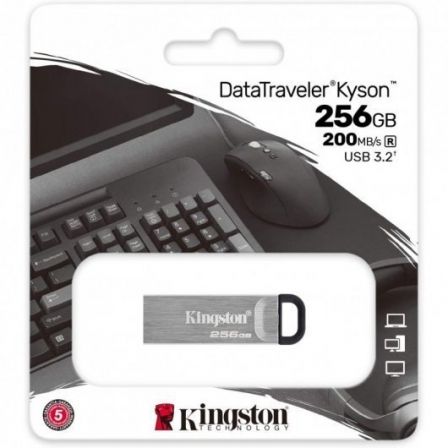 KINGSTONDTKN/256GB