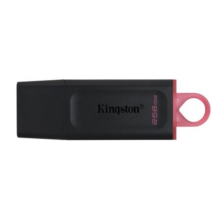 KINGSTONDTX/256GB