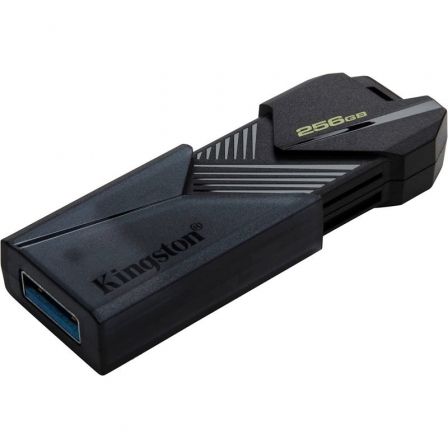 KINGSTONDTXON/256GB