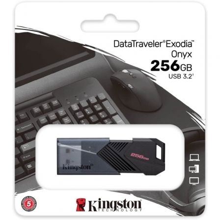 KINGSTONDTXON/256GB