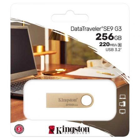 KINGSTONDTSE9G3/256GB