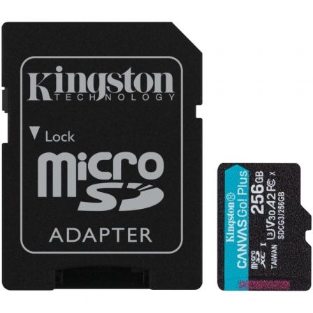 KINGSTONSDCG3/256GB