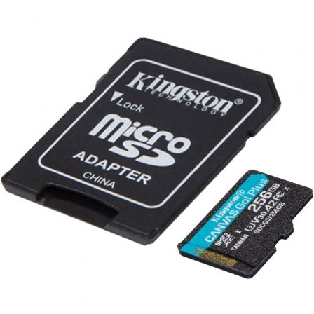 KINGSTONSDCG3/256GB