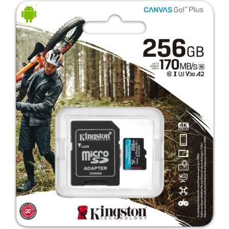 KINGSTONSDCG3/256GB