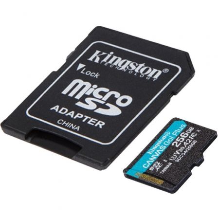 KINGSTONSDCG4/256GB