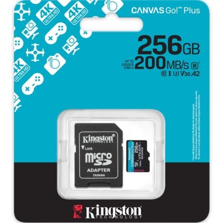 KINGSTONSDCG4/256GB