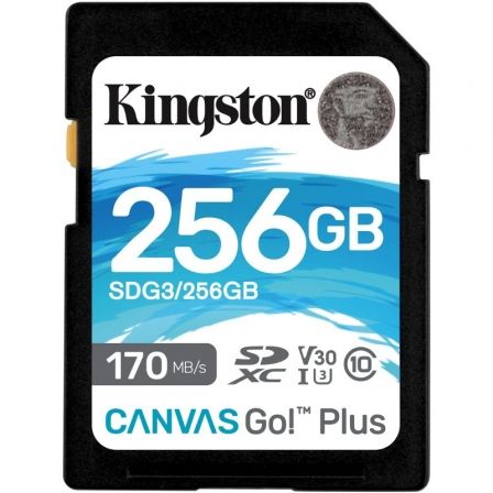 KINGSTONSDG3/256GB