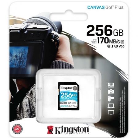KINGSTONSDG3/256GB