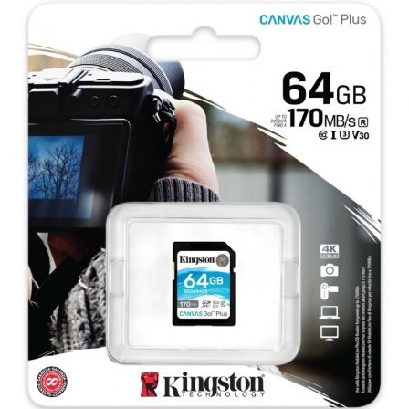 KINGSTONSDG3/64GB