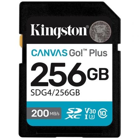 KINGSTONSDG4/256GB