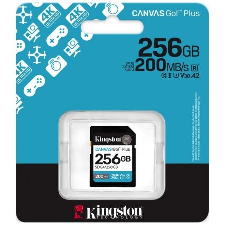 KINGSTONSDG4/256GB