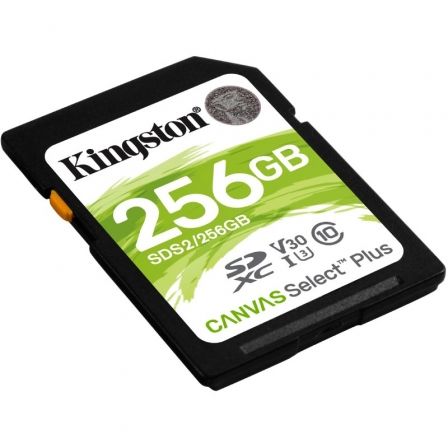 KINGSTONSDS2/256GB