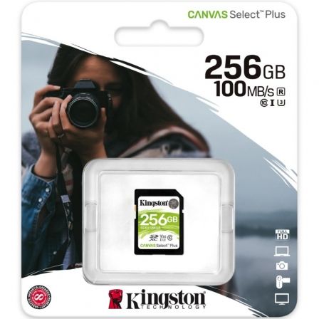 KINGSTONSDS2/256GB