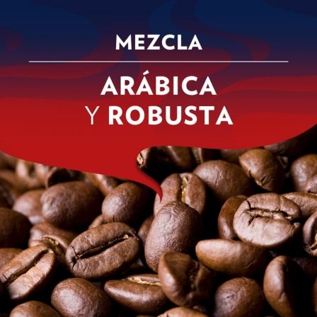LAVAZZA2454