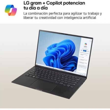 LG14Z90S-V.AP75B