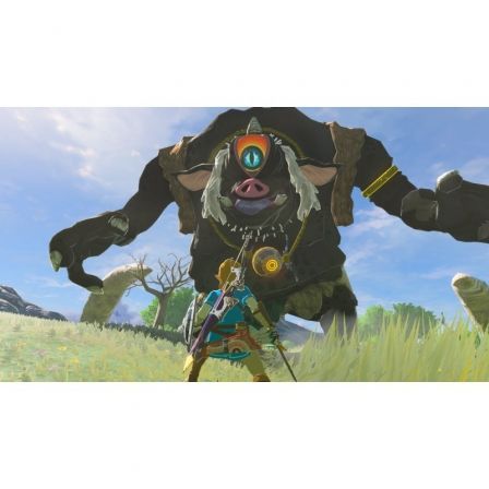 NINTENDOTLOZ BOTW NS2E