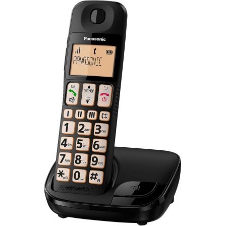 PANASONICKX-TGE310SPB