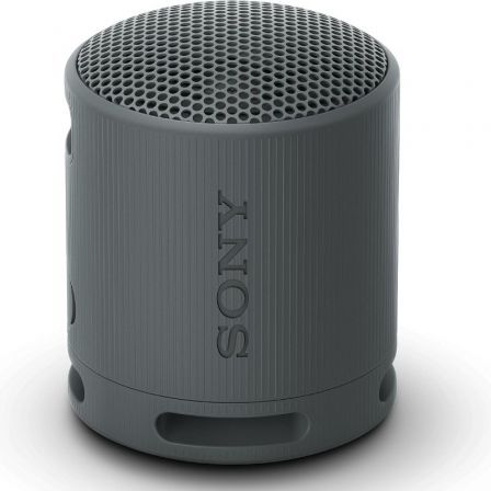SONYSRSXB100B.CE7