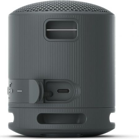 SONYSRSXB100B.CE7