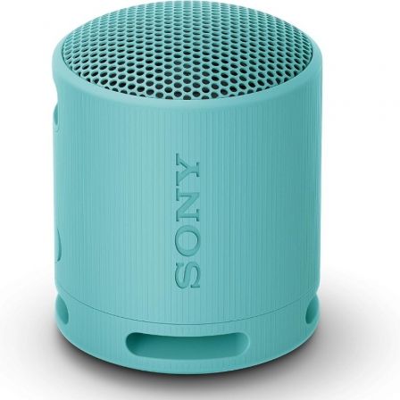 SONYSRSXB100L.CE7