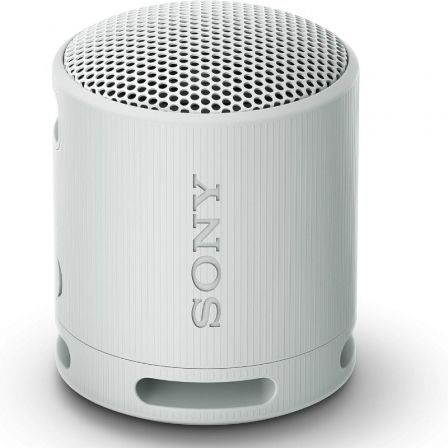 SONYSRSXB100H.CE7