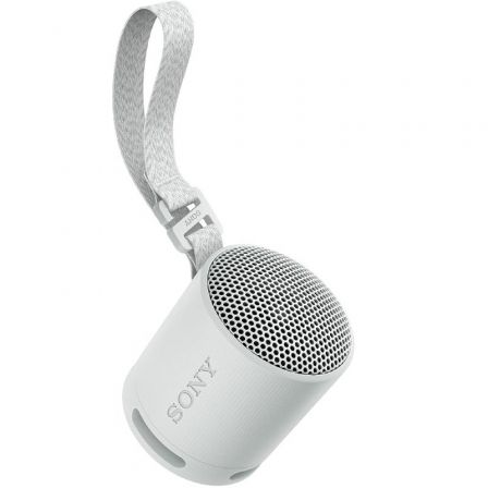 SONYSRSXB100H.CE7