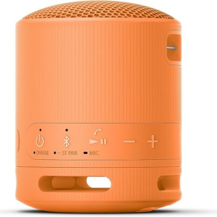 SONYSRSXB100D.CE7