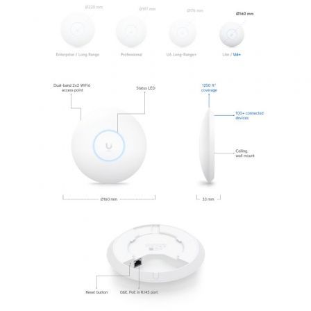 UBIQUITIU6+