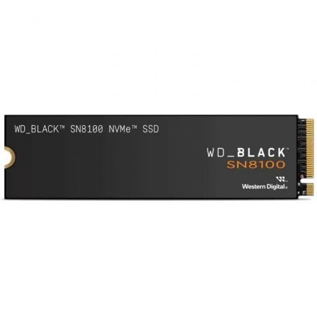 WESTERN DIGITALWDS100T1X0M