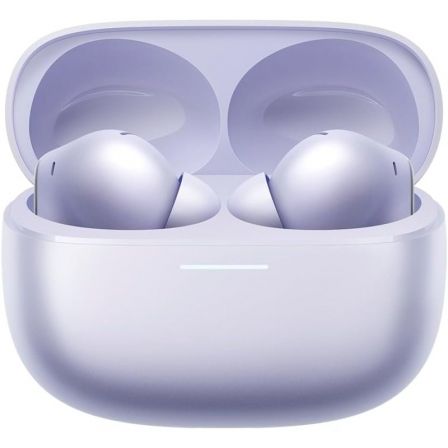 XIAOMIBHR9317GL